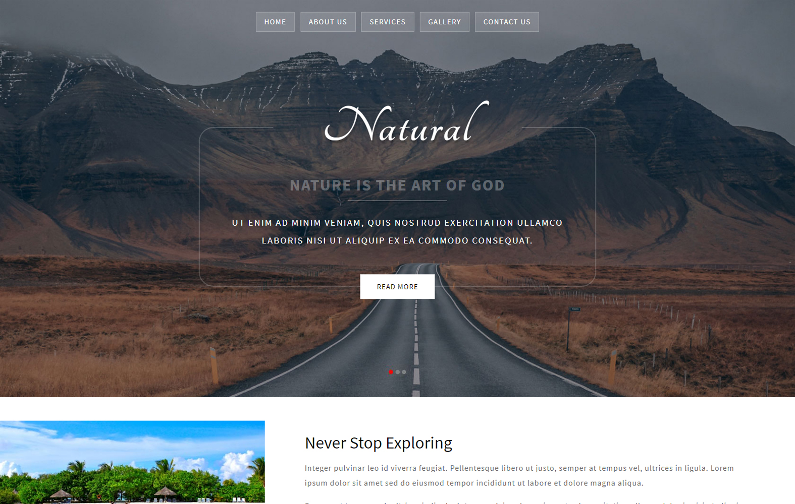 Natural a Multipurpose Flat Bootstrap Responsive Web Template